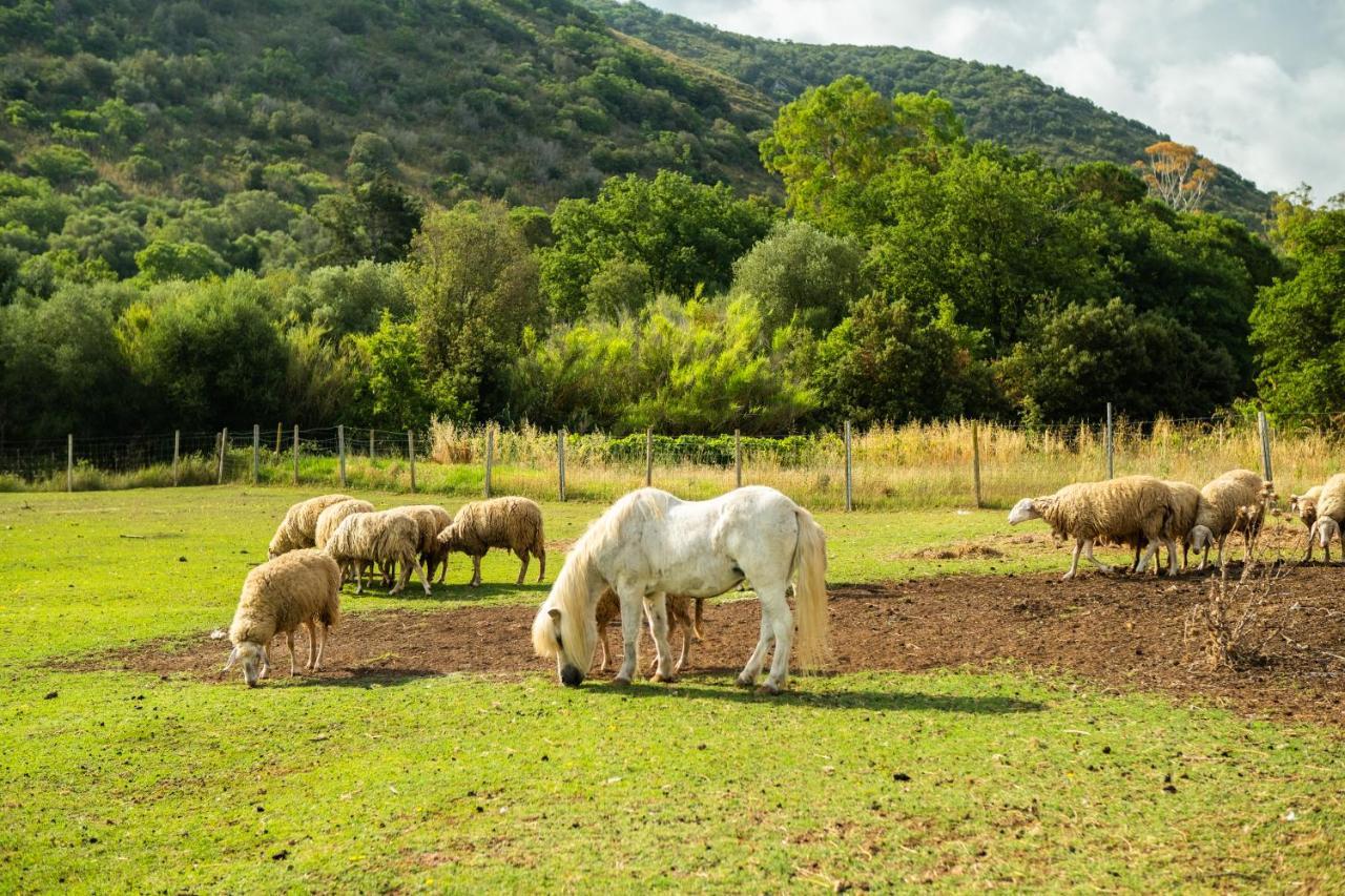 Antica Fattoria La Parrina Villa Орбетело Екстериор снимка